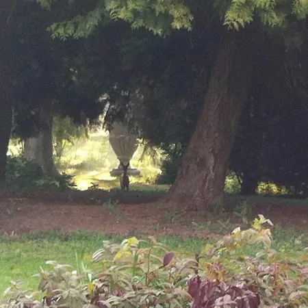 Manoir De * Camblain-l'Abbe