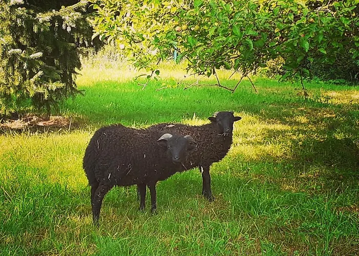 Couette-café Manoir De Camblain-l'Abbe