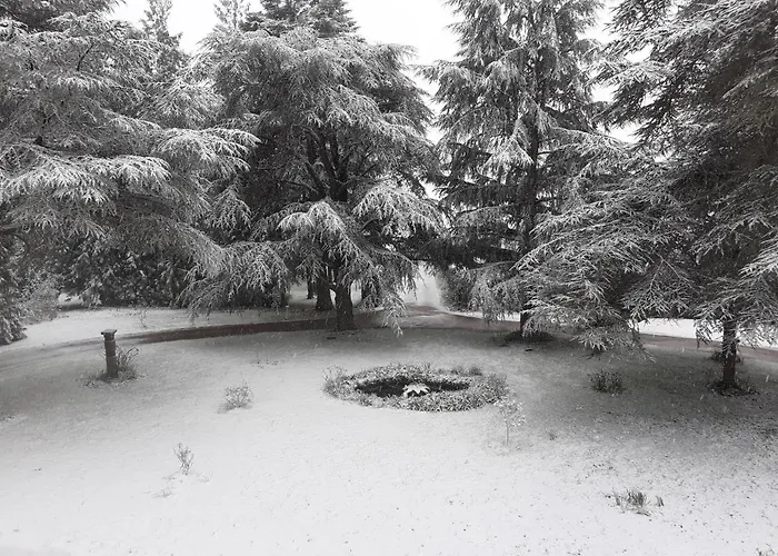 Couette-café Manoir De *