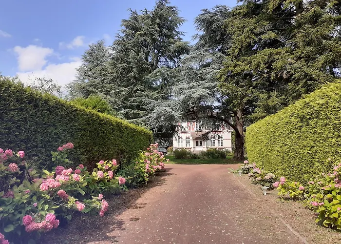 Manoir De Couette-café